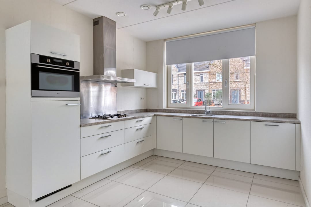 Photo 13 of Aalscholver 24