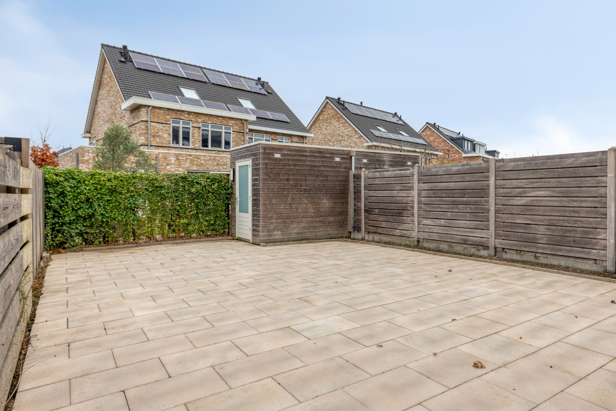 Photo 15 of Aalscholver 24