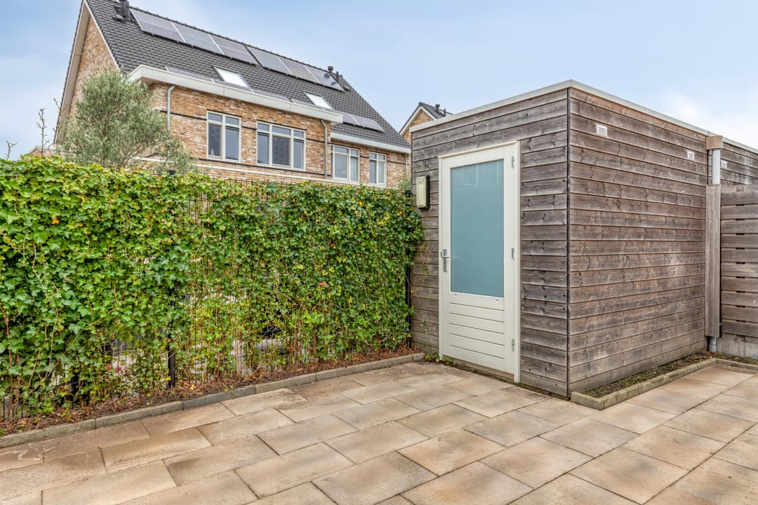 Photo 16 of Aalscholver 24