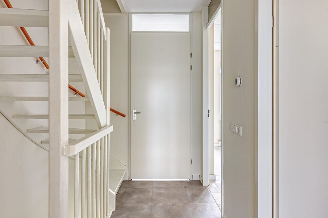 Photo 17 of Aalscholver 24