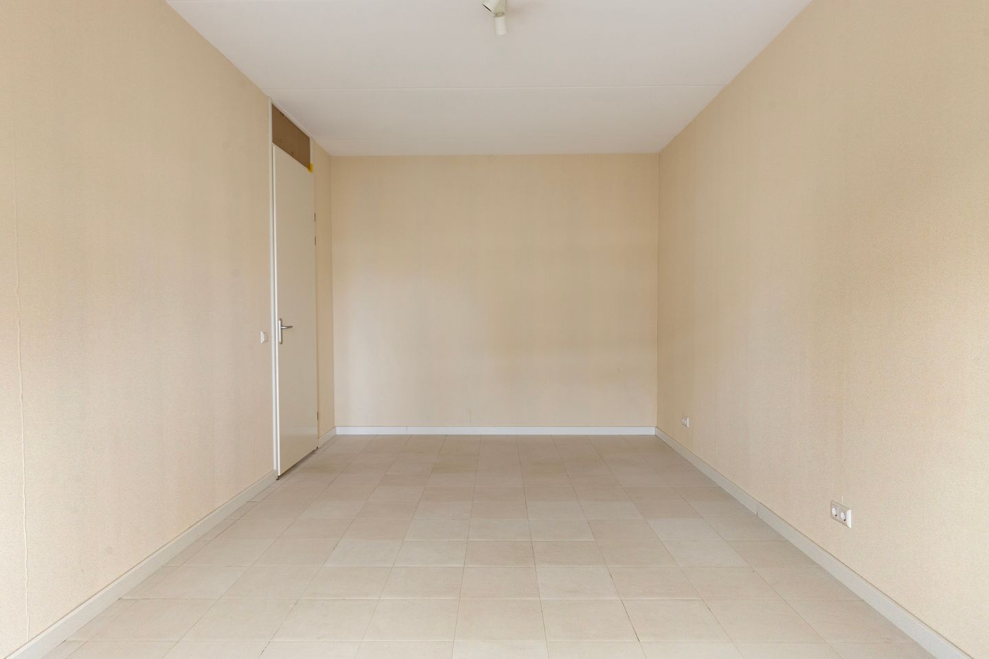 Photo 20 of Aalscholver 24