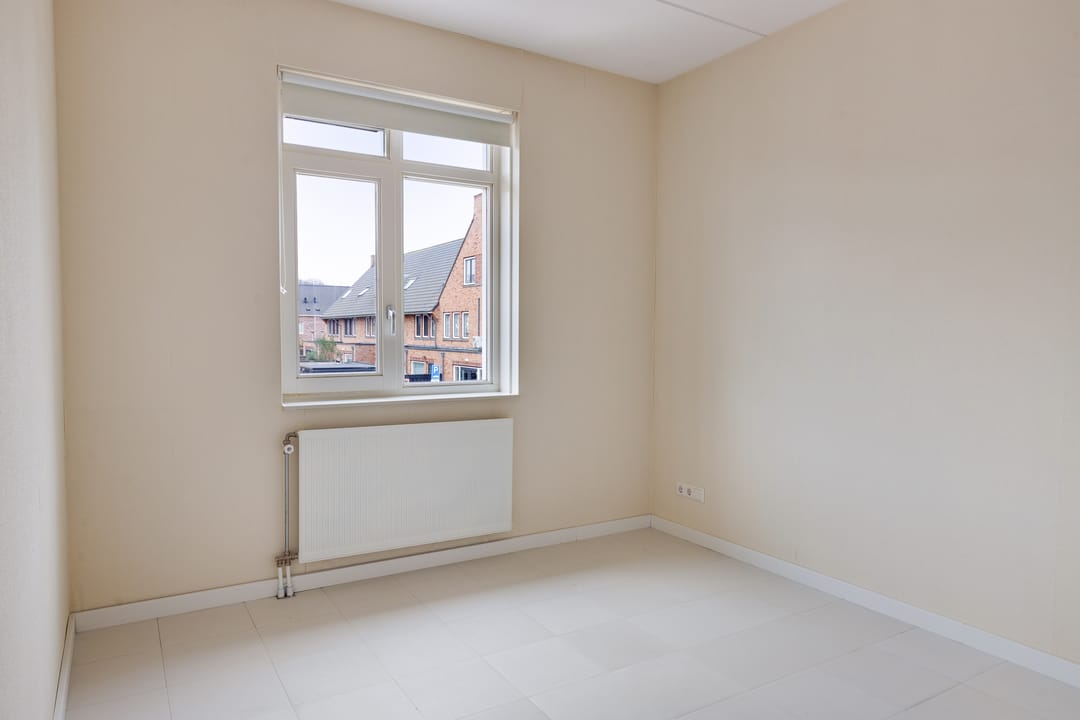 Photo 22 of Aalscholver 24