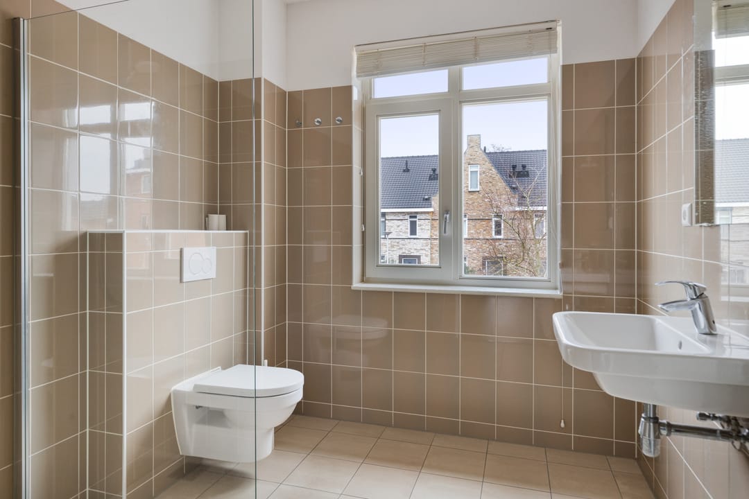 Photo 23 of Aalscholver 24