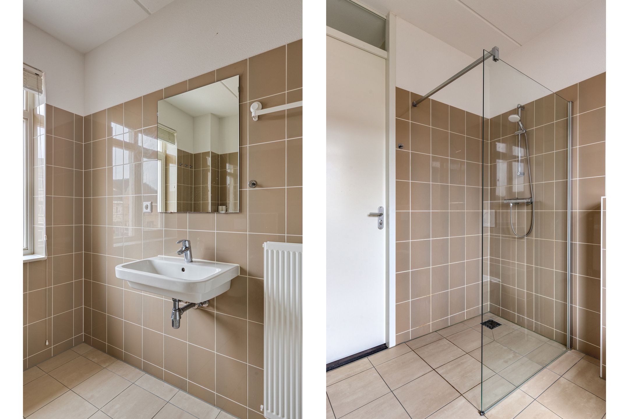 Photo 24 of Aalscholver 24