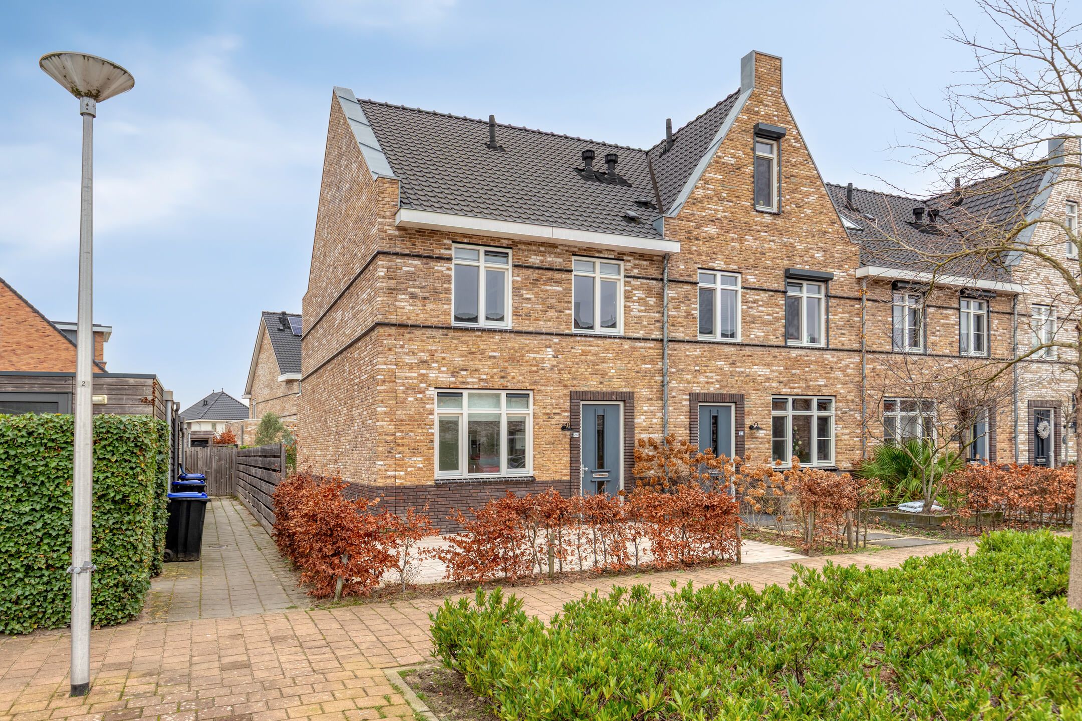 Photo 27 of Aalscholver 24