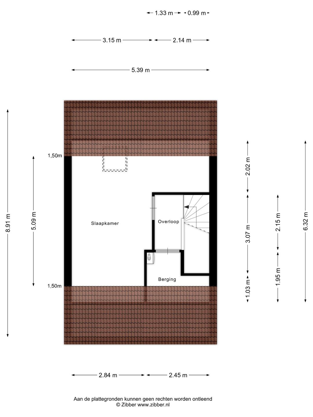 Photo 31 of Aalscholver 24