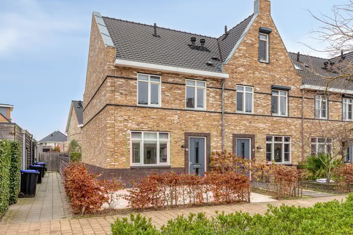 Aalscholver 24 main image