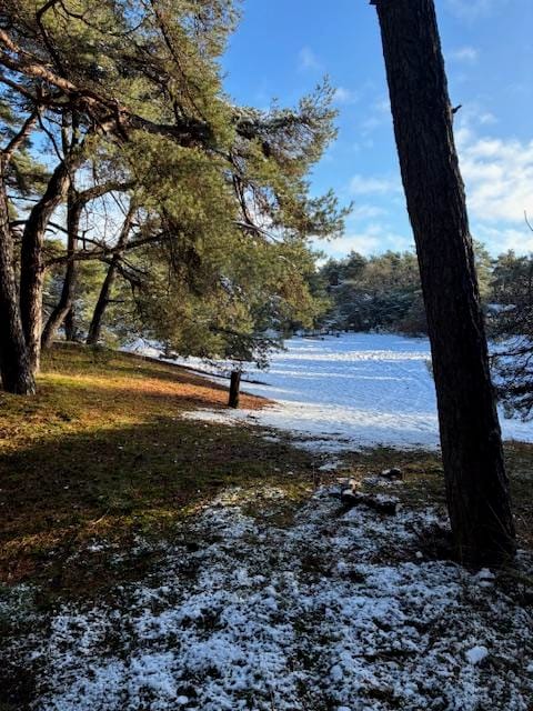 Foto 51 van Zuursche Duinen 5