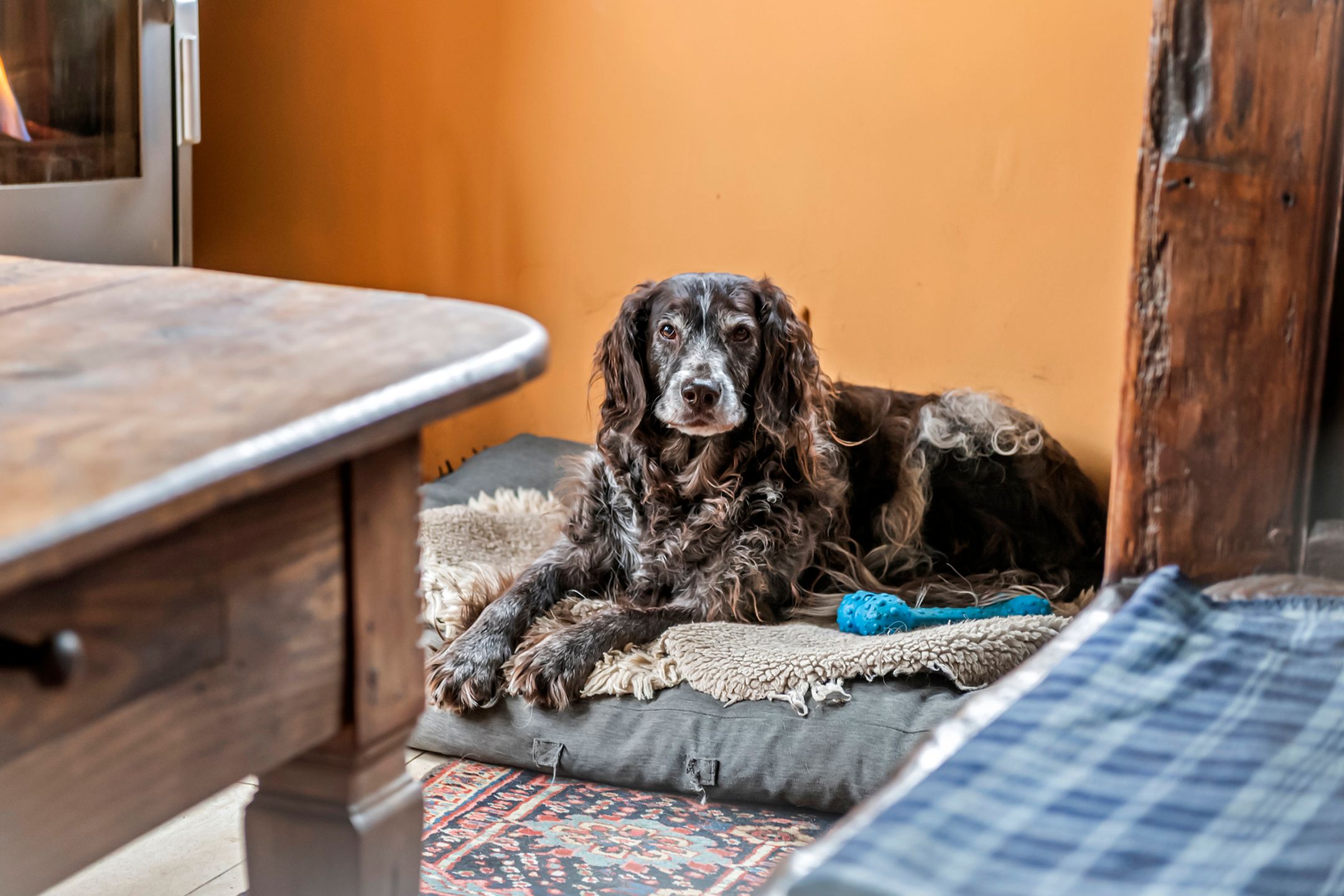 Foto 90 van Dorpsplein 2