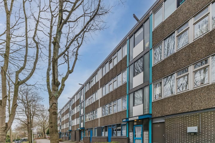 Foto 5 van Spinaker 77