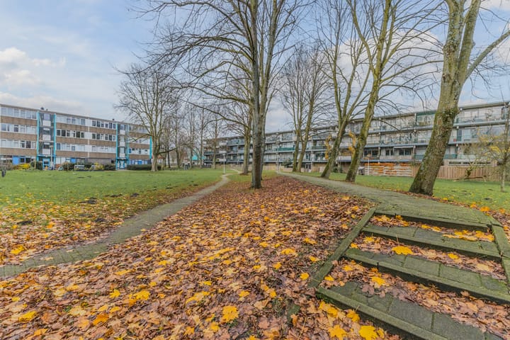 Foto 42 van Spinaker 77