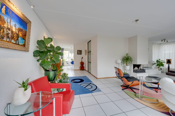 Foto 6 van Zwaluwtong 47