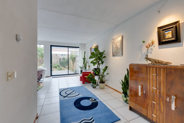 Foto 17 van Zwaluwtong 47