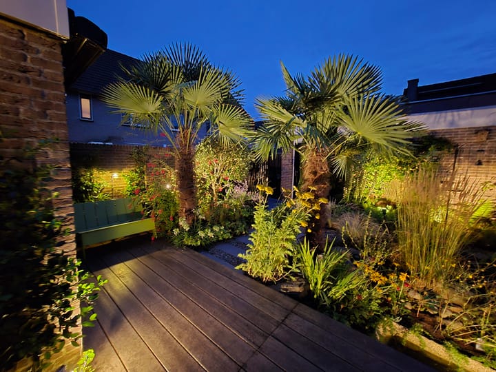 Foto 32 van Zwaluwtong 47