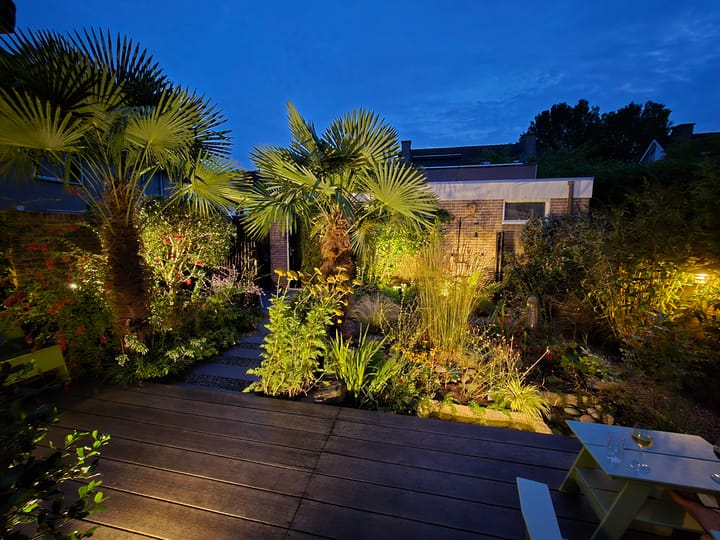 Foto 33 van Zwaluwtong 47