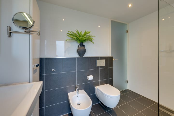 Foto 47 van Zwaluwtong 47