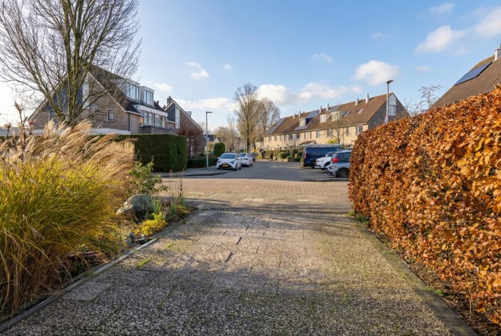 Foto 60 van Zwaluwtong 47