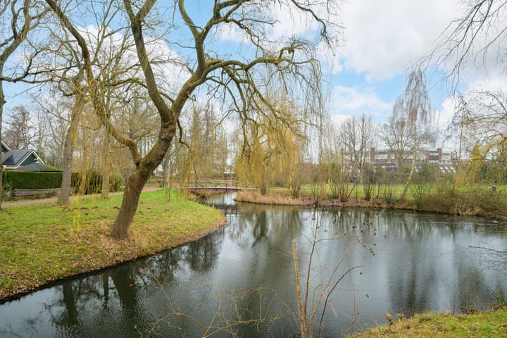 Foto 62 van Somerweide 46