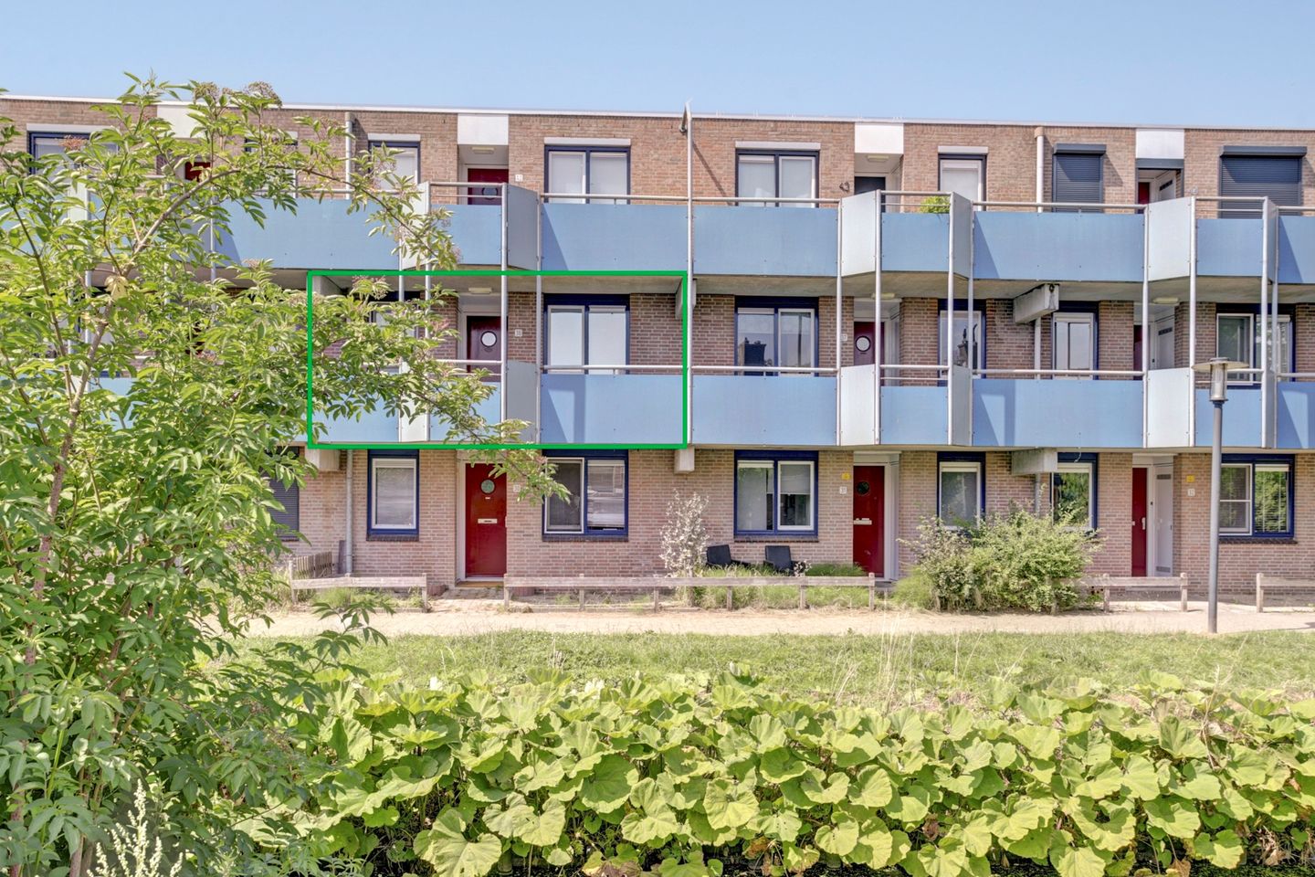 Photo 1 of Korenbloem 36