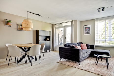 Korenbloem 36 secondary image