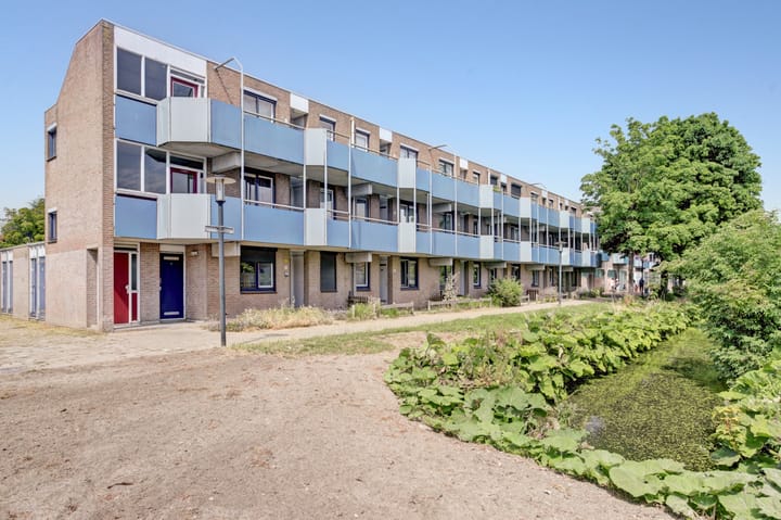 Photo 5 of Korenbloem 36