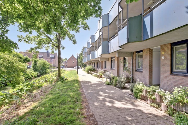 Photo 6 of Korenbloem 36