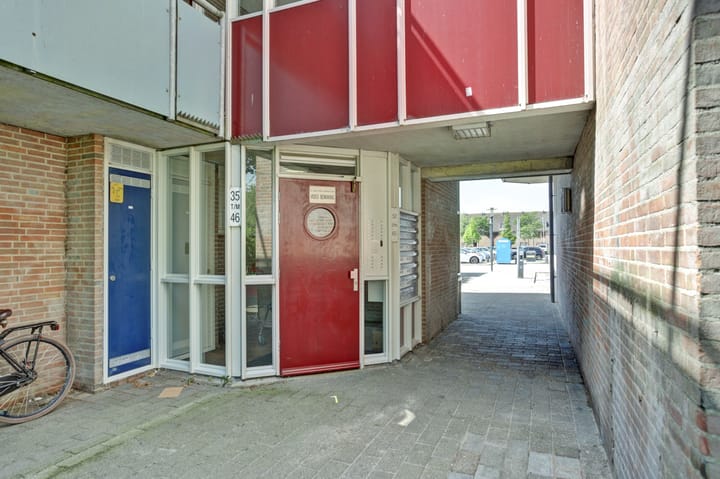 Photo 7 of Korenbloem 36