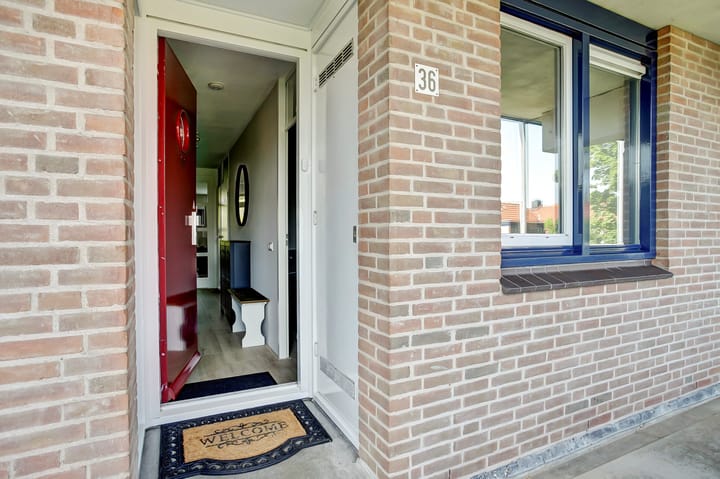 Photo 8 of Korenbloem 36