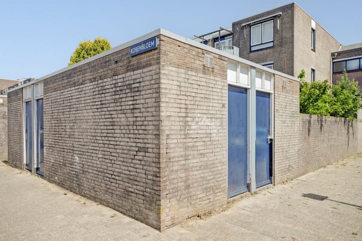 Photo 29 of Korenbloem 36