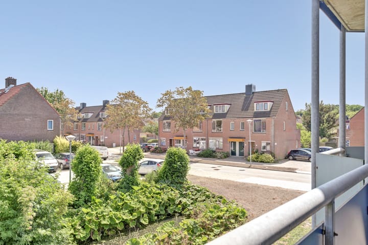 Photo 33 of Korenbloem 36