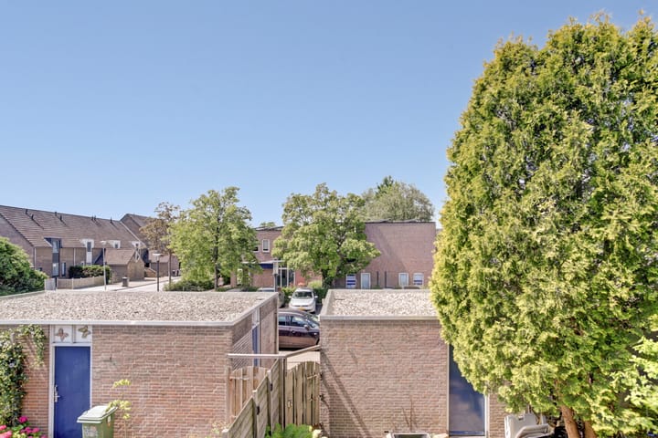 Photo 34 of Korenbloem 36