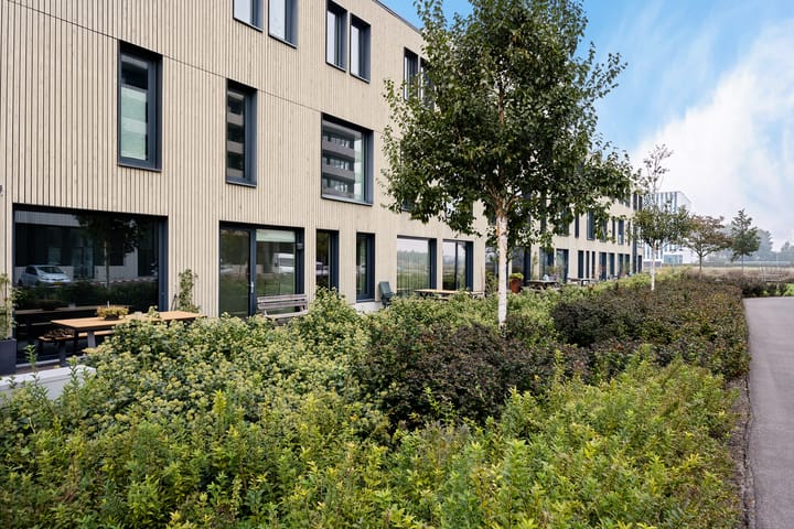 Foto 7 van Tonkensstraat 17