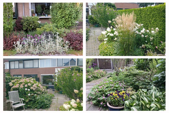 Foto 40 van Zeemanstraat 4