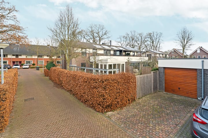 Foto 43 van Leeuwencamp 1