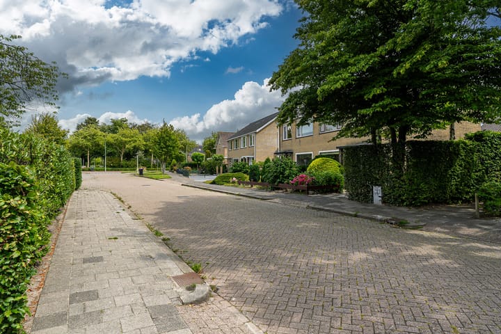 Foto 39 van Pompeblêdstrjitte 7