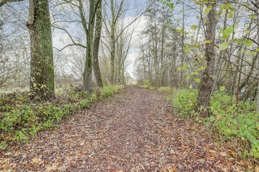 Foto 58 van Oeverkamp 27