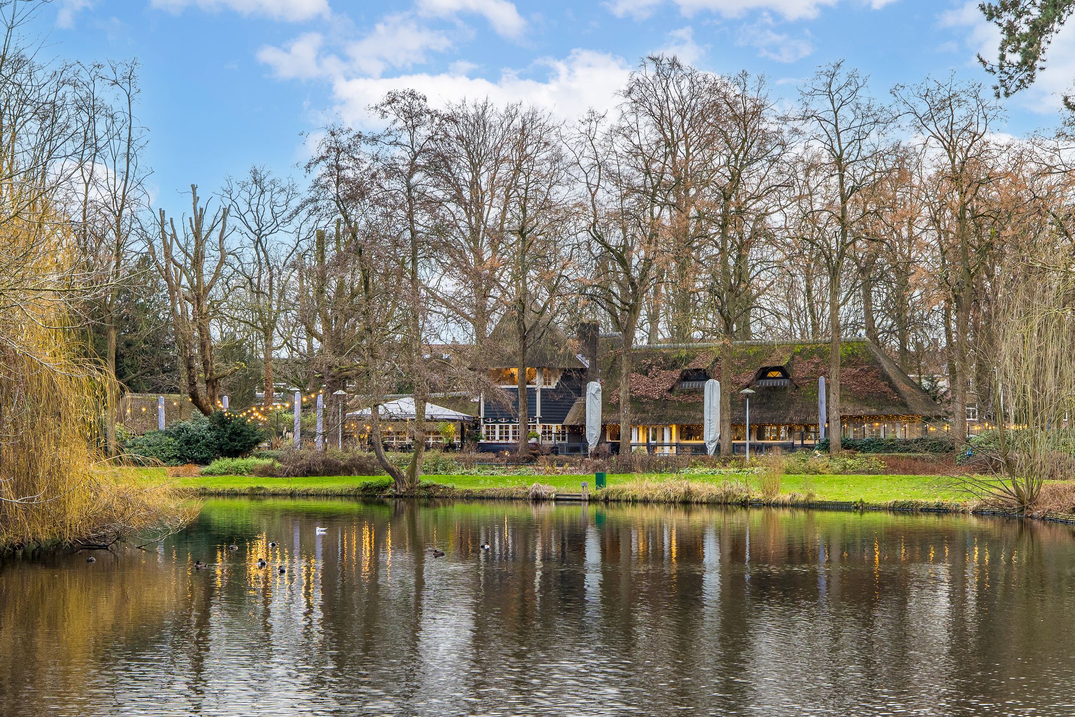 Photo 39 of Burgemeester Reigerstraat 76-C