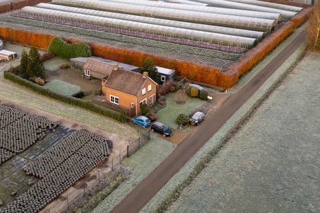 undefined main image