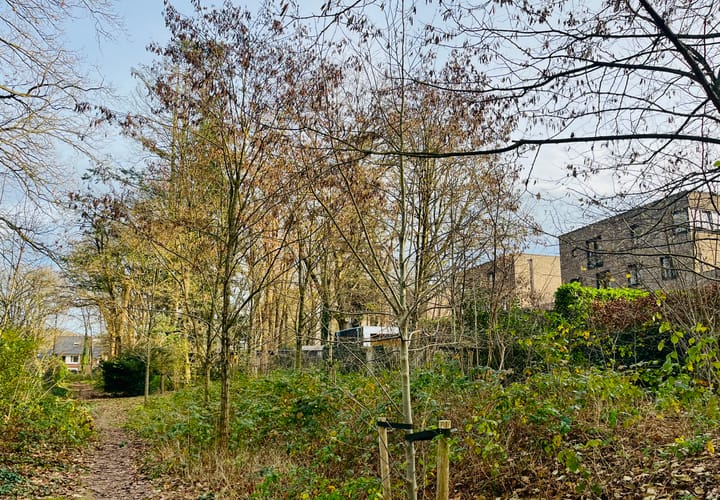 Foto 55 van Garnizoen 12