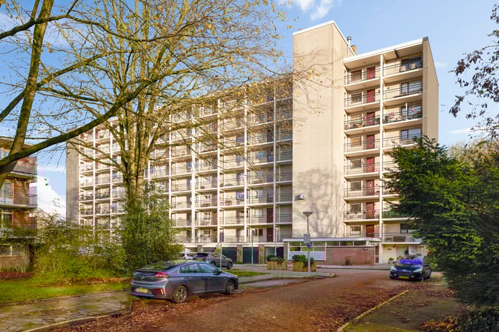 Amerbos 86 main image