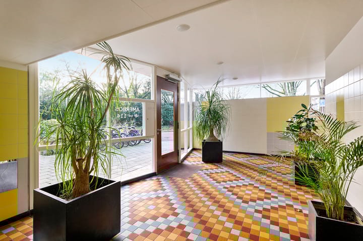 Foto 22 van Amerbos 86