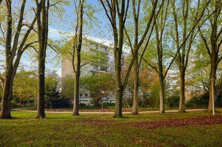 Foto 24 van Amerbos 86