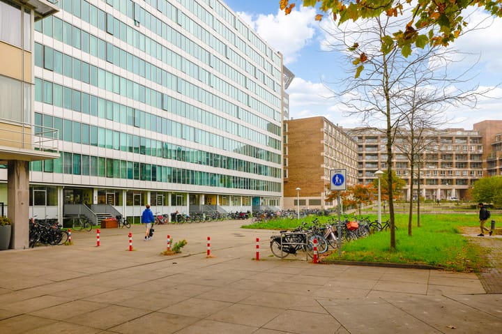 Photo 26 of Bos en Lommerplantsoen 17-K