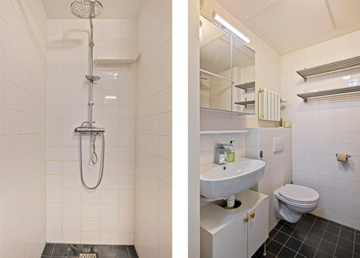 Photo 27 of Bos en Lommerplantsoen 17-K