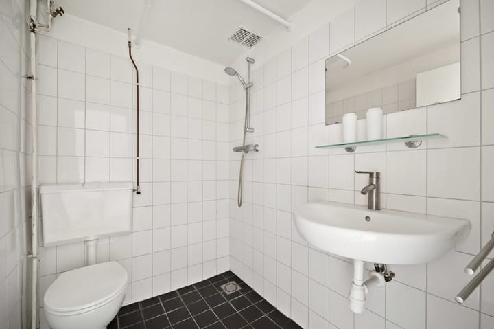 Foto 12 van Roggekamp 293