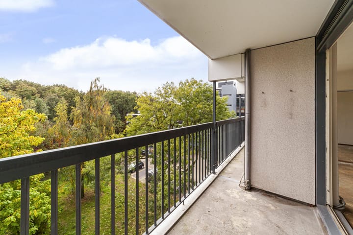 Foto 6 van Lankforst 5611