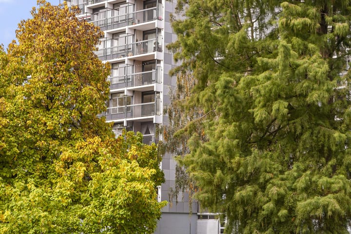 Foto 7 van Lankforst 5611