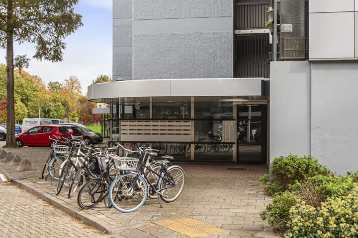 Foto 14 van Lankforst 5611