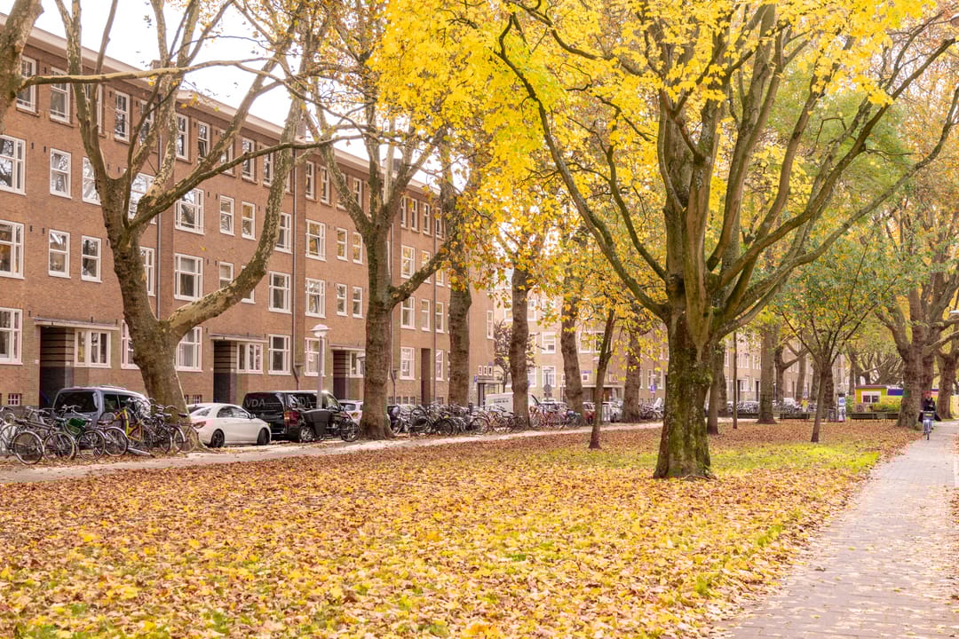 Foto 38 van Willem de Zwijgerlaan 107-3