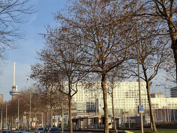 Foto 19 van Kapiteinsbuurt 1